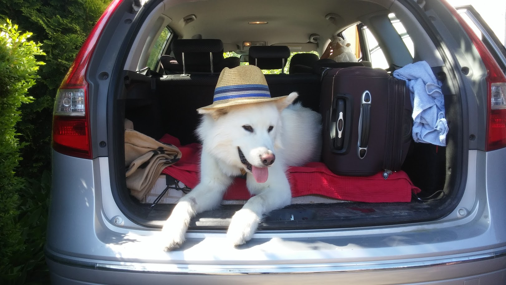 Haker w aucie w kapeluszu